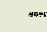 黑莓手机官方旗舰店