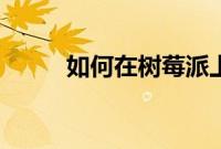 如何在树莓派上设置静态 IP 地址