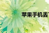 苹果手机丢了怎么定位找回