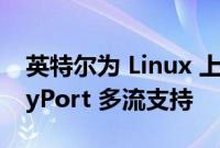 英特尔为 Linux 上的 Arc GPU 准备 DisplayPort 多流支持