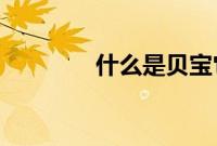 什么是贝宝它是如何运作的
