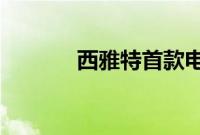 西雅特首款电动跨界车已解密