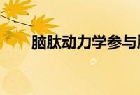 脑肽动力学参与脂肪肝疾病的病理学