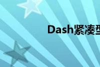 Dash紧凑型空气炸锅评测
