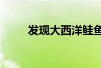 发现大西洋鲑鱼可降低心血管风险