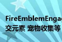 FireEmblemEngage展示其Somniel基地 社交元素 宠物收集等