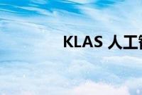 KLAS 人工智能工具的报告
